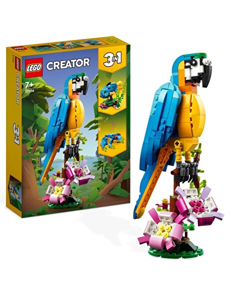 LEGO Creator 3’ü 1 Arada Egzotik Papağan 31136