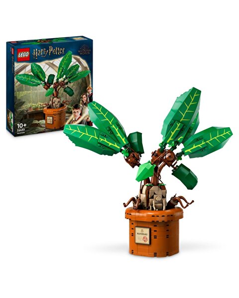 LEGO Harry Potter Adamotu 76433